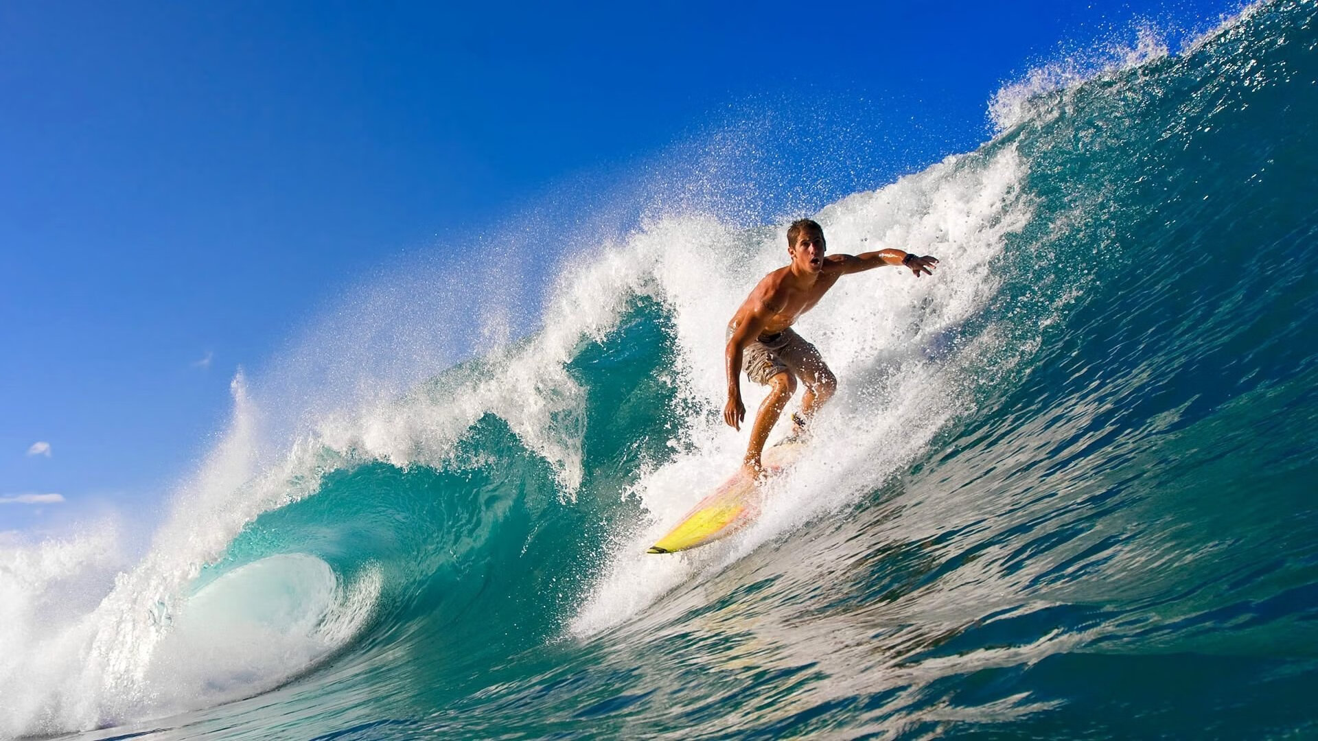 “南非羚羊队萨尔·巴赫闪耀赛场，带领球队迎接挑战”