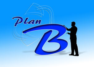 中国篮球职业俱乐部财务风险控制研究，篮球俱乐部企业组织结构图